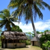 Zdjęcie z Vanuatu - Na tylach bazarku