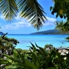 Zdjęcie z Vanuatu - 