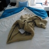 Zdjęcie z Kuby - innego dnia znalazłam na łóżku krokodyla z koca 😊