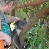 Zdjęcie z Australii - Z misiem koala :)