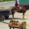 Zdjęcie z Kuby - sklepik z owocami :)