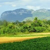 Zdjęcie z Kuby - Dolina Vinales - tytoniowe zagłębie Kuby