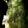 Zdjęcie z Kuby - ładne miejsce... zielono, dżunglowato, tajemniczo...