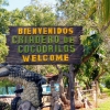 Zdjęcie z Kuby - Boca de Guama - komercha w zagrodzie krokodyli