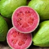 Zdjęcie z Kuby - guava - owoc którego zjadłam na Kubie chyba łącznie  z 10 kilo! 😊