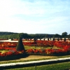 Zdjęcie z Francji - wersalskie ogrody
