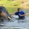 Zdjęcie z Tajlandii - Jeszcze slonia moge przewrocic :)
