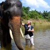 Zdjęcie z Tajlandii - Oj lubi sie te slonie :)