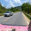 Zdjęcie z Tajlandii - Na sloniowa farme wracamy samochodem - ja na pace :)