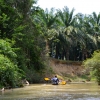 Zdjęcie z Tajlandii - Wyplywamy z Parku Narodowego