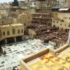 Zdjęcie z Maroka - średniowieczne garbarnie