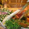 Zdjęcie z Tajlandii - Lotnisko Changi w Singapurze