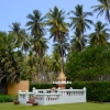 Zdjęcie z Tajlandii - Hotelowa kapliczka a z tylu las palmas :)