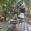 Zdjęcie z Maroka - w ogrodzie