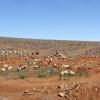 Zdjęcie z Maroka - marokańskie pastwiska