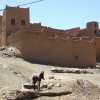 Zdjęcie z Maroka - domostwa