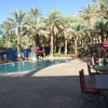 Zdjęcie z Maroka - i hotelowa oaza  :)