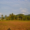 Zdjęcie z Tajlandii - Czajkowa polana