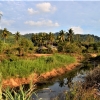 Zdjęcie z Tajlandii - Za rzeka jakies gospodarstwo