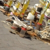 Zdjęcie z Maroka - skóry i wysuszone jaszczury