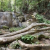 Zdjęcie z Tajlandii - W parku narodowym Sa Nang Manora