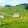 Zdjęcie z Czarnogóry - Žabljak