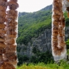Zdjęcie z Czarnogóry - z perspektywy figowego łańcucha