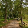 Zdjęcie z Polski - park wokół dworu