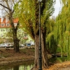 Zdjęcie z Polski - jesienny Pułtusk