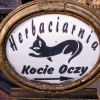 Zdjęcie z Polski - Fajne miejsce dla miłośników kotów 😊
