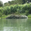 Zdjęcie z Etiopii - wodny transport