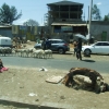 Zdjęcie z Etiopii - wjeżdżamy do miasteczka