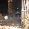Zdjęcie z Etiopii - tu piecze się indżerę