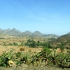 Zdjęcie z Etiopii - kwitnące aloesy