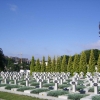 Zdjęcie z Ukrainy - Cmentarz Orląt Lwowskich