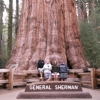 Zdjęcie ze Stanów Zjednoczonych - Sequoia NP