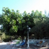 Zdjęcie z Tunezji - przy basenie