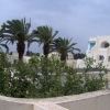 Tunezja - Nabeul