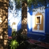 Zdjęcie z Maroka - w ogrodzie Majorelle
