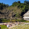 Zdjęcie z Meksyku - "pamiątkowy bazarek" dopisuje i tutaj, chociaż w porównaniu z Chichen Itza to tylko maleńki % tego, 