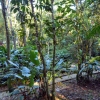 Zdjęcie z Meksyku - przed nami jeszcze (półgodzinny może ciut więcej) spacer przez dżunglę...