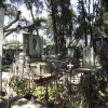 Zdjęcie z Etiopii - cmentarne pomniki