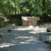 Zdjęcie z Meksyku - przechadzka po parku-muzeum w towarzystwie wszechobecnych koati (ᵔᴥᵔ)