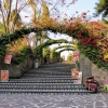 Zdjęcie z Meksyku - na Wzgórze Tepeyac prowadzą piękne ceramiczne schody, których podstopnice wyłożone są uroczymi 