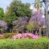 Zdjęcie z Meksyku - a po naszej wciąż Alameda Park