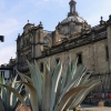 Zdjęcie z Meksyku - Katedrę budowano ponad 200 lat, stąd wiele tu architektonicznej mieszaniny stylów;