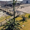 Zdjęcie z Meksyku - potężna agawa w ruinach Tenochtitlan