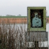 Zdjęcie z Polski - Dlaczego obraz na jeziorze?