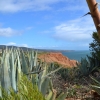 Zdjęcie z Australii - Na obrzezach Kaktusowego Kanionu