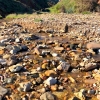 Zdjęcie z Australii - Ujscie strumienia Cactus Canyon Creek